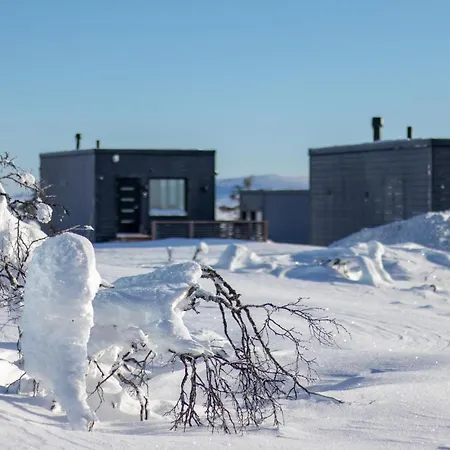 Star - Arctic Glass Cubes 4*