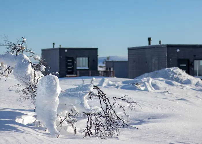 Star - Arctic Glass Cubes 4*